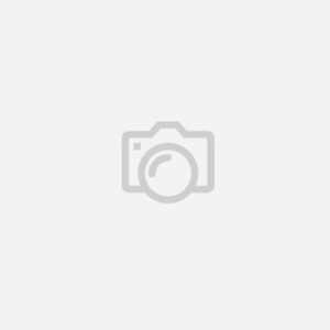 VIDEOJUEGO 1348 EX VOTO PS5 